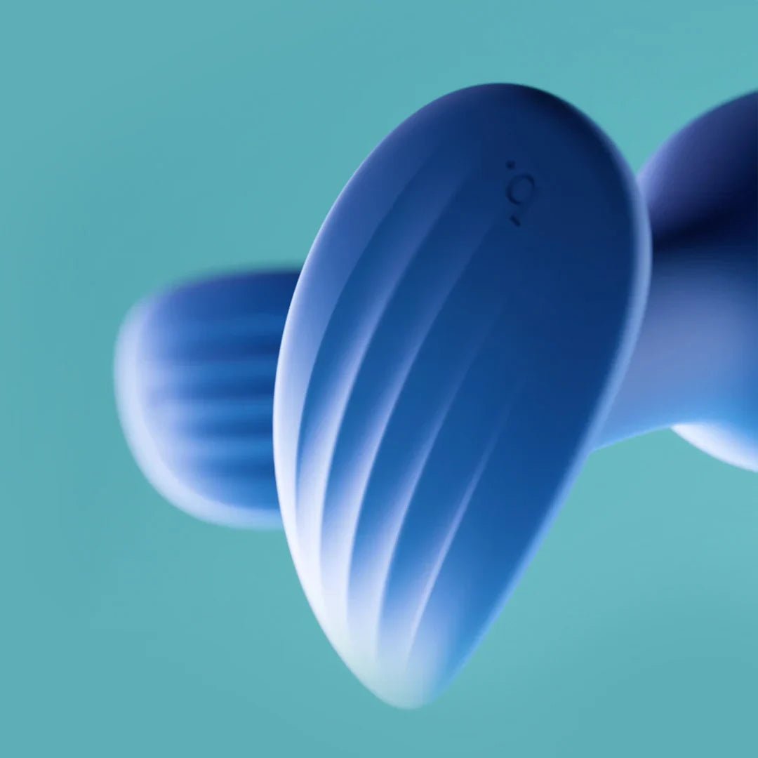 Biird Regii Silicone Anal Plugs Set 2-Pcs - Wet Master