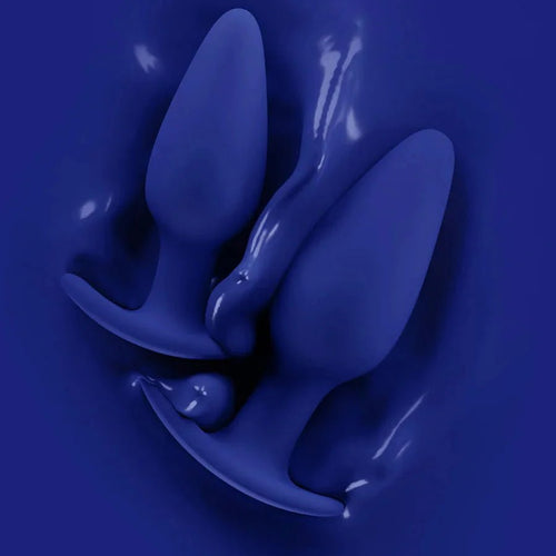 Biird Regii Silicone Anal Plugs Set 2-Pcs - Wet Master
