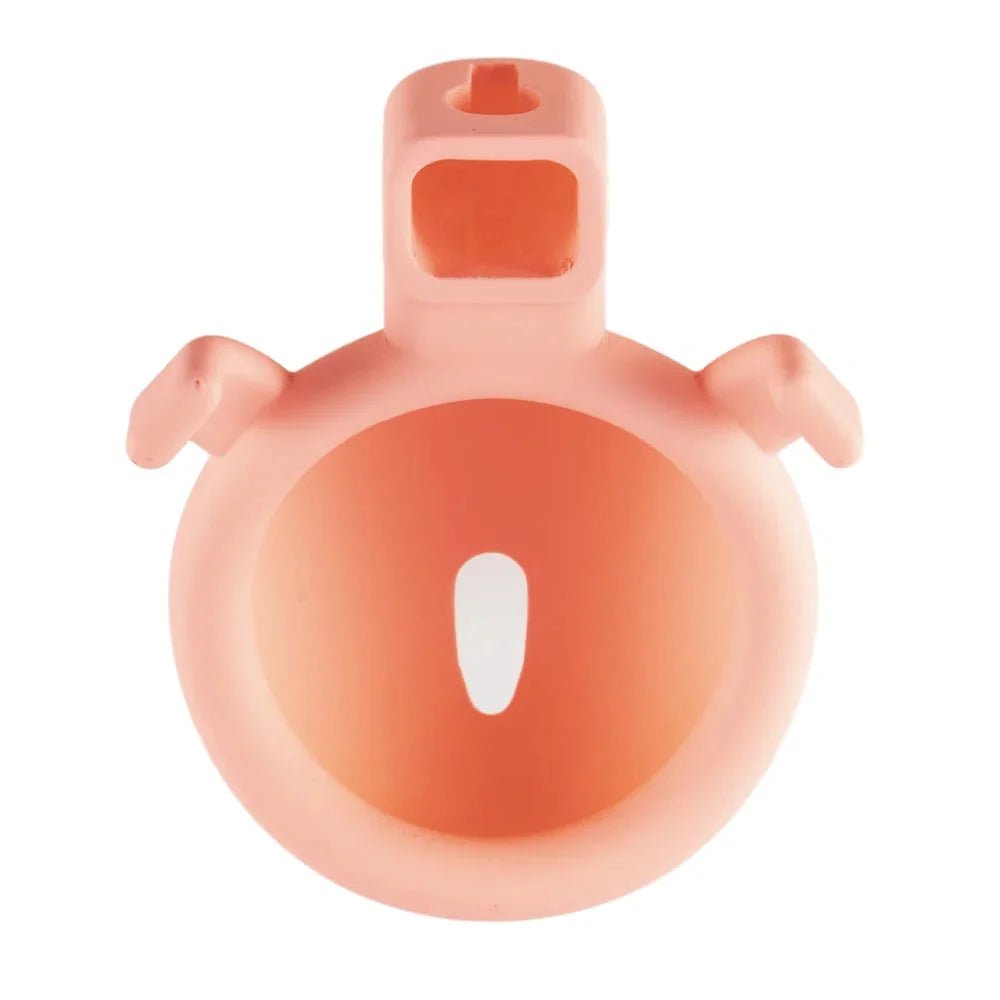 LOCKINK Sevanda 3D Printed Pink Pride Male Chastity Cage - Wet Master