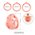LOCKINK Sevanda 3D Printed Pink Pride Male Chastity Cage - Wet Master