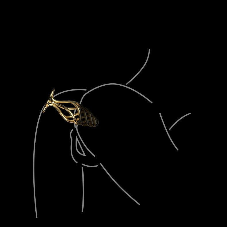 LOCKINK Sevanda Hollow Gold Metal Butt Plug - Wet Master