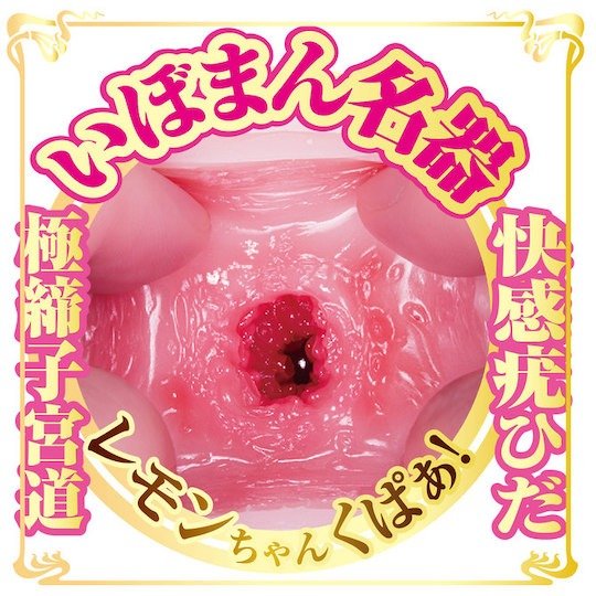NPG AV Mini Meiki Lemon Tanaka Onahole - Wet Master