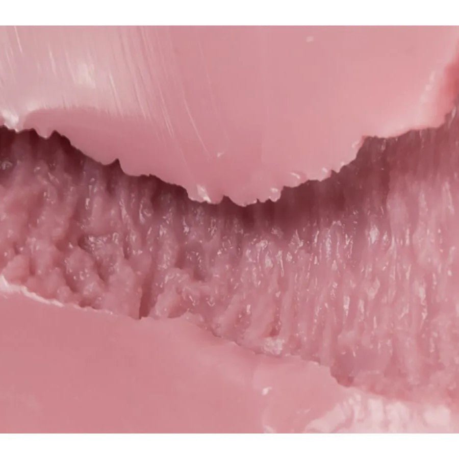 TOMAX Venus Real Regular Soft Onahole - Wet Master