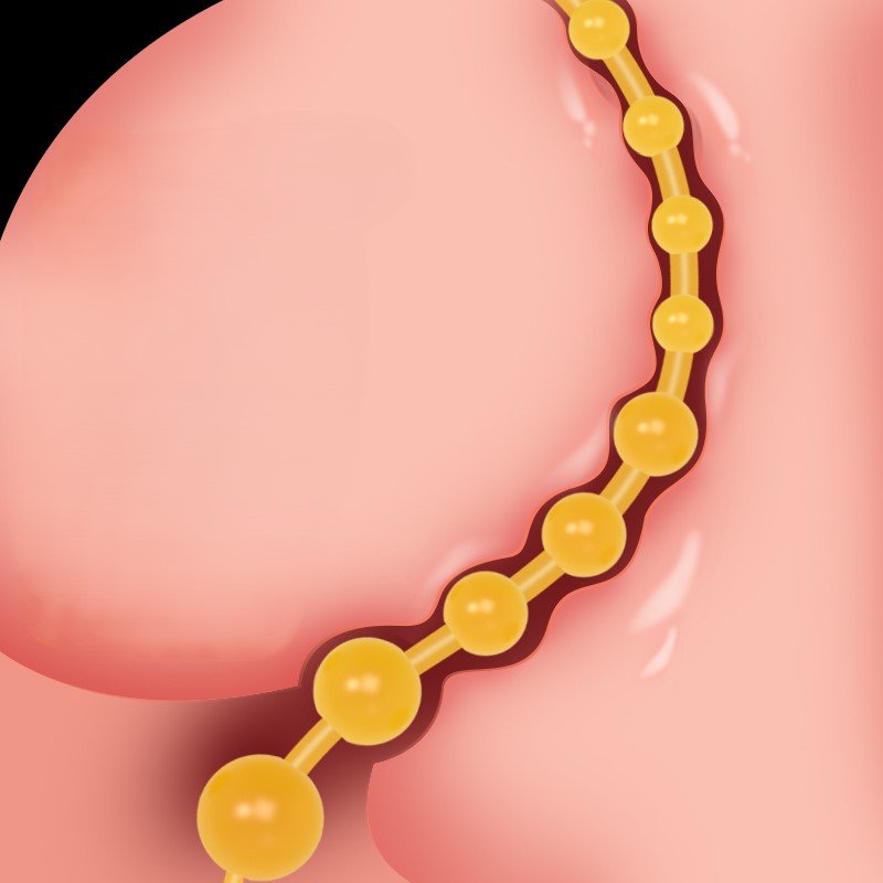 TPE Anal Beads for Beginners 33mm - Wet Master